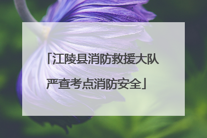 江陵县消防救援大队严查考点消防安全
