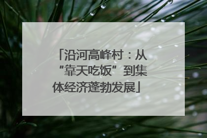 沿河高峰村：从“靠天吃饭”到集体经济蓬勃发展