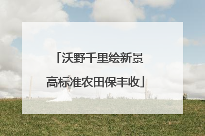 沃野千里绘新景 高标准农田保丰收