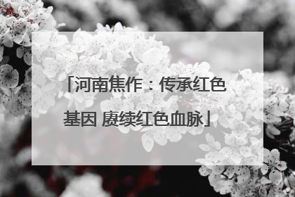 河南焦作：传承红色基因 赓续红色血脉