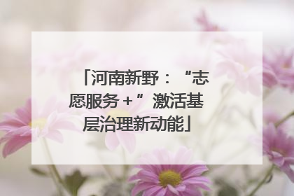 河南新野：“志愿服务＋”激活基层治理新动能