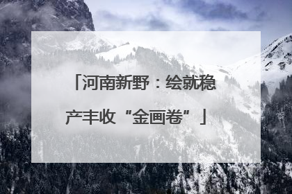 河南新野：绘就稳产丰收“金画卷”