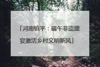 河南镇平：端午非遗盛宴激活乡村文明新风