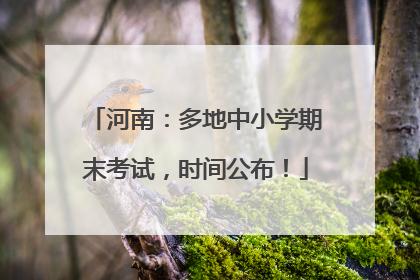 河南：多地中小学期末考试，时间公布！