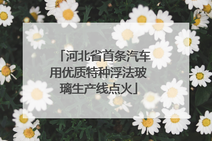 河北省首条汽车用优质特种浮法玻璃生产线点火