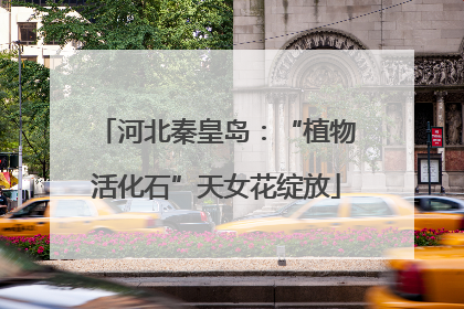河北秦皇岛：“植物活化石”天女花绽放