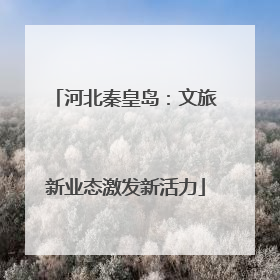 河北秦皇岛：文旅新业态激发新活力