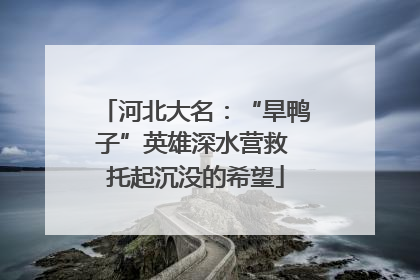 河北大名：“旱鸭子”英雄深水营救 托起沉没的希望