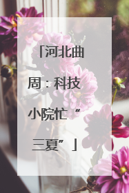 河北曲周：科技小院忙“三夏”