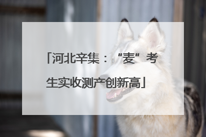 河北辛集：“麦”考生实收测产创新高