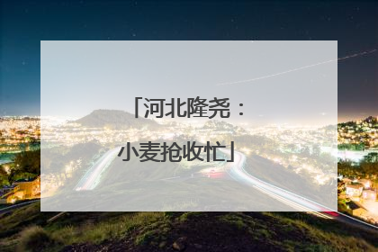 河北隆尧：小麦抢收忙