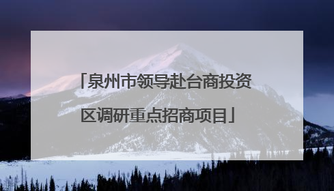 泉州市领导赴台商投资区调研重点招商项目