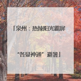 泉州：热辣阳光霸屏 “各显神通”避暑
