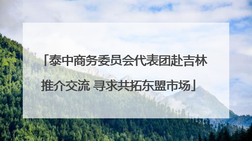 泰中商务委员会代表团赴吉林推介交流 寻求共拓东盟市场