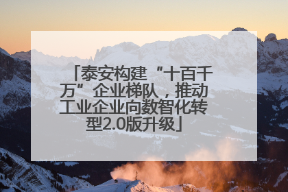 泰安构建“十百千万”企业梯队，推动工业企业向数智化转型2.0版升级