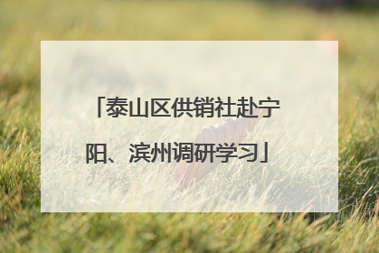 泰山区供销社赴宁阳、滨州调研学习