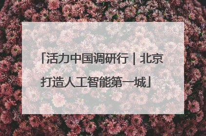 活力中国调研行｜北京打造人工智能第一城
