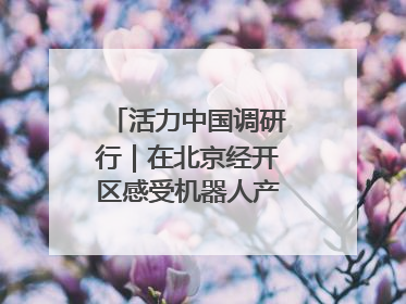 活力中国调研行｜在北京经开区感受机器人产业创新发展