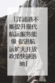 洋浦港不断提升现代航运服务能级 促进航运扩大开放政策快速落地