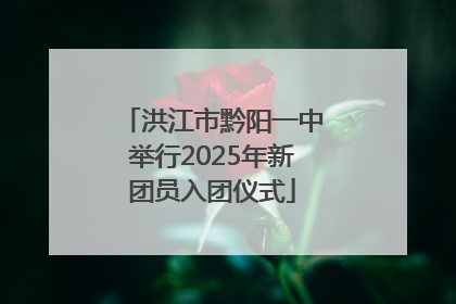 洪江市黔阳一中举行2025年新团员入团仪式