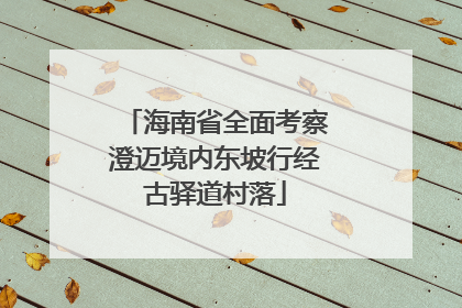 海南省全面考察澄迈境内东坡行经古驿道村落