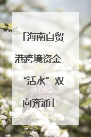 海南自贸港跨境资金“活水”双向奔涌