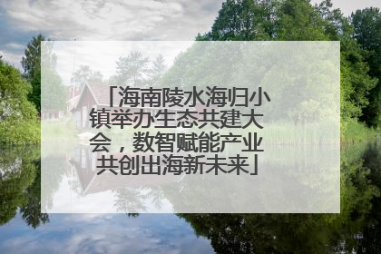 海南陵水海归小镇举办生态共建大会，数智赋能产业共创出海新未来