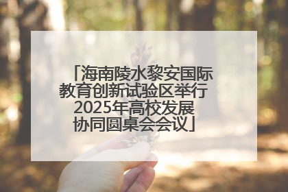 海南陵水黎安国际教育创新试验区举行2025年高校发展协同圆桌会会议