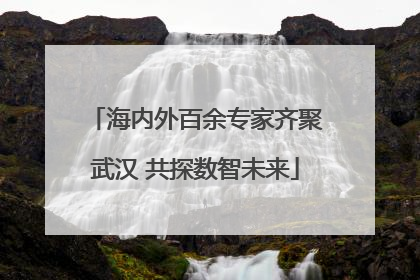 海内外百余专家齐聚武汉 共探数智未来