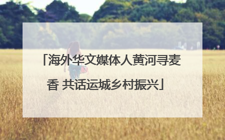 海外华文媒体人黄河寻麦香 共话运城乡村振兴
