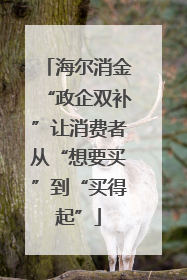 海尔消金“政企双补”让消费者从“想要买”到“买得起”