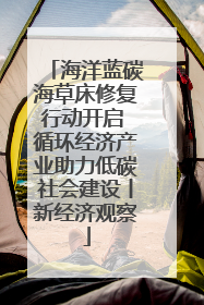 海洋蓝碳海草床修复行动开启 循环经济产业助力低碳社会建设丨新经济观察