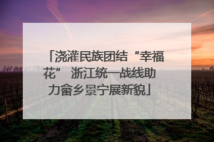 浇灌民族团结“幸福花” 浙江统一战线助力畲乡景宁展新貌