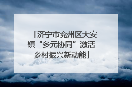 济宁市兖州区大安镇“多元协同”激活乡村振兴新动能