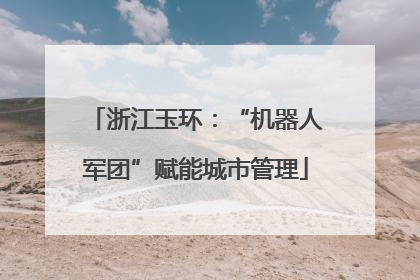 浙江玉环：“机器人军团”赋能城市管理
