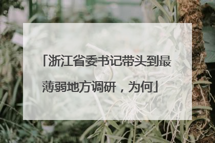 浙江省委书记带头到最薄弱地方调研，为何