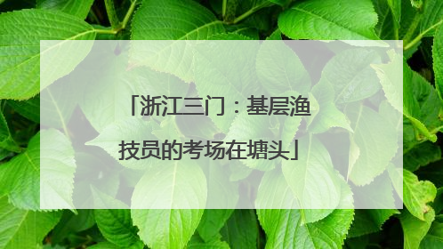 浙江三门：基层渔技员的考场在塘头
