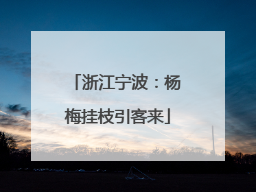 浙江宁波：杨梅挂枝引客来