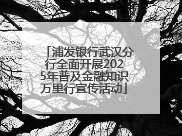 浦发银行武汉分行全面开展2025年普及金融知识万里行宣传活动