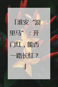 淮安“浪里马”：开门红，能否一路长红？