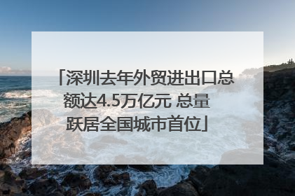 深圳去年外贸进出口总额达4.5万亿元 总量跃居全国城市首位