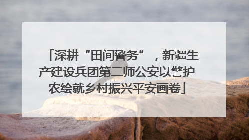 深耕“田间警务”，新疆生产建设兵团第二师公安以警护农绘就乡村振兴平安画卷