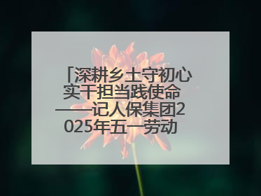 深耕乡土守初心 实干担当践使命——记人保集团2025年五一劳动奖状获得者、人保财险江苏南通海安支公司
