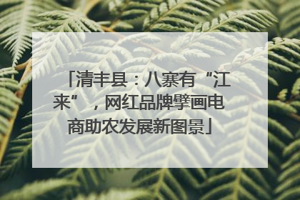 清丰县：八寨有“江来”，网红品牌擘画电商助农发展新图景