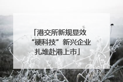 港交所新规显效 “硬科技”新兴企业扎堆赴港上市