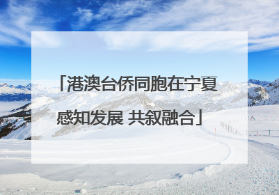 港澳台侨同胞在宁夏感知发展 共叙融合