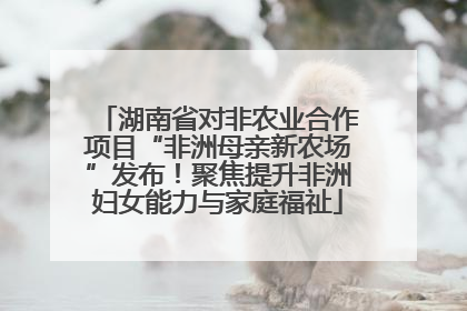 湖南省对非农业合作项目“非洲母亲新农场”发布！聚焦提升非洲妇女能力与家庭福祉