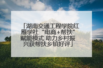 湖南交通工程学院红雁学社“电商+帮扶”赋能模式 助力乡村振兴获帮扶乡镇好评