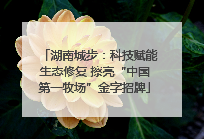 湖南城步：科技赋能生态修复 擦亮“中国第一牧场”金字招牌