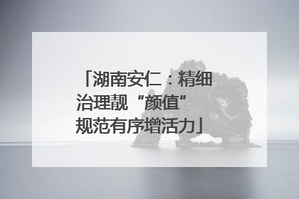 湖南安仁：精细治理靓“颜值” 规范有序增活力